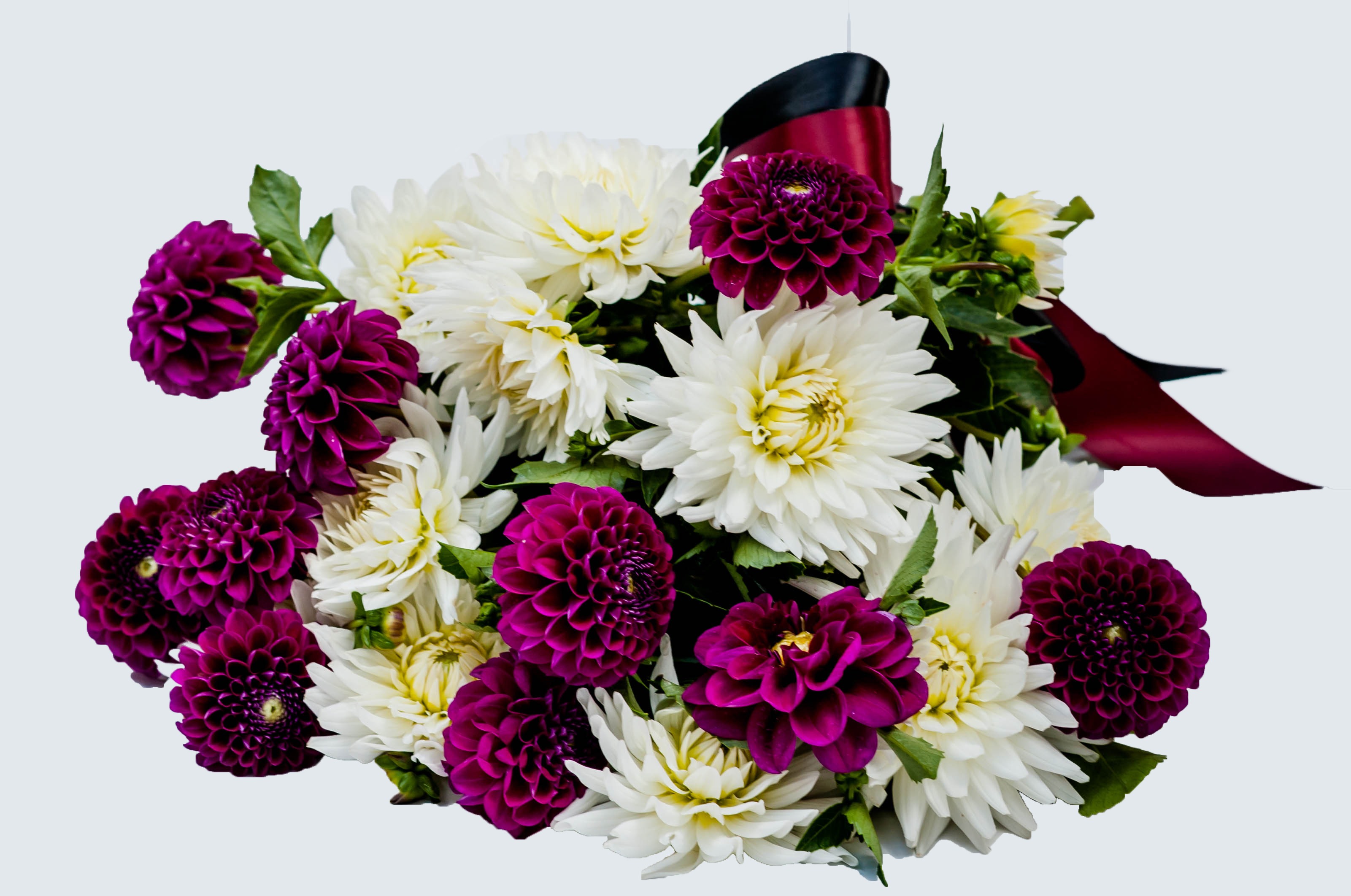 Purely seasonal 1 Purely seasonal