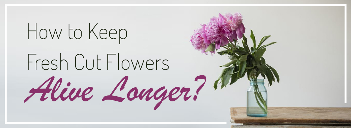 Keep Your Cut Garden Flowers Fresher Longer